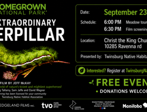 Extraordinary Caterpillar Movie–Registration now open!